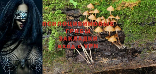 дживик Алзамай