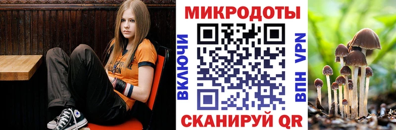 наркотики  darknet телеграм  Галлюциногенные грибы прущие грибы  Кандалакша 