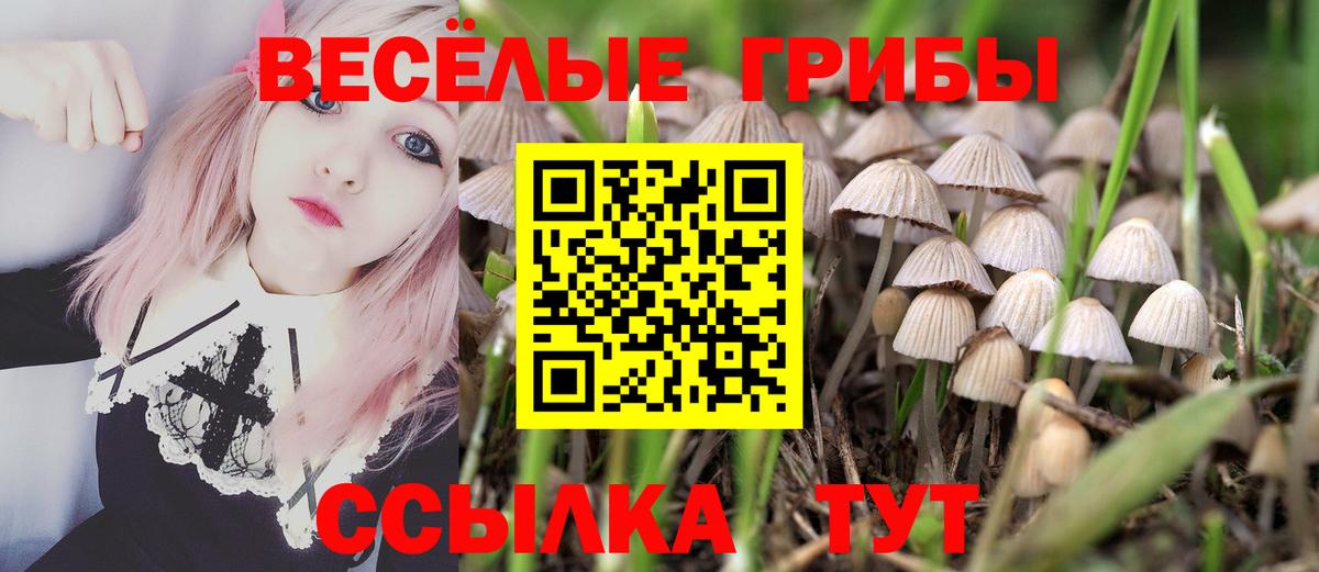 Псилоцибиновые грибы прущие грибы  Вход с VPN  Кандалакша 